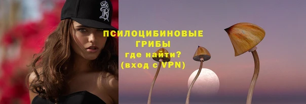 круглые Вязьма