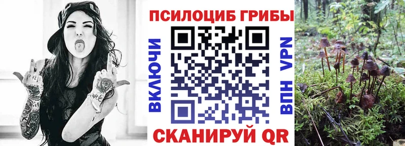 Псилоцибиновые грибы прущие грибы Черноголовка